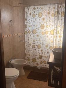 a bathroom with a toilet and a shower curtain at paraíso la Caleta in Mar de Cobo +15 photos
