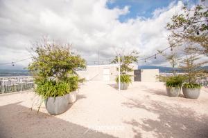 a row of potted plants sitting on top of a building at Secrt Sabana 1BR · High Floor · Workspace + WiFi · Parking · Apt 2006 in Hatillo