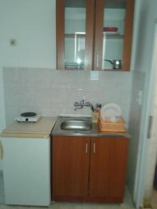 a small kitchen with a sink and a dishwasher at Apartmani Lalo Jankovic in Sutomore