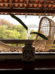 a plant in a vase in front of a window at Paraiso de Angra in Angra dos Reis