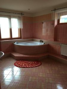 Koupelna v ubytování Apartmány PEMI Potštejn