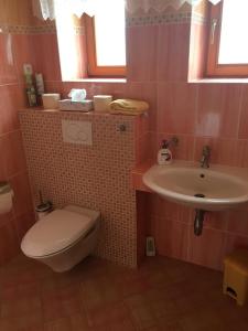 Koupelna v ubytování Apartmány PEMI Potštejn