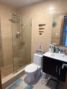 a bathroom with a shower and a toilet and a sink at El Sueño, Breathtaking Ocean Front, Juan Dolio in Villas del Mar