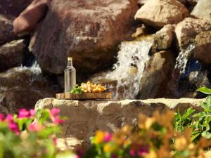 a bottle of wine and a bowl of fruit next to a waterfall at Movenpick Resort & Spa El Gouna in Hurghada +132 photos