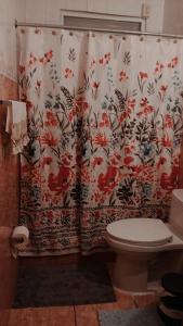 圣胡安Lunaplace2的浴室配有带卫生间的淋浴帘