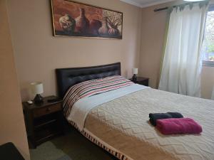 une chambre avec un lit et un tableau au mur dans l'établissement MACHALI HABITACION PRIVADA PARCKING y WIFI, à Machalí