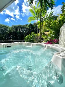 ein Whirlpool in einem Hinterhof mit Bäumen und Pflanzen in der Unterkunft Luxury Eden & SPA - private jacuzzi - Sunset lagoon view - pool - Wifi in Punaauia