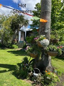 Billede fra billedgalleriet på Morepork Rural Oasis i Aongatete + 38 billeder