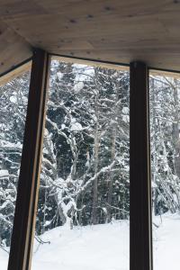 Earthboat Hakuba v zimě