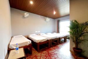 a room with four beds and a potted plant at Rainy Cloud Homestay 3B, Balcony, Home Food in Chikmagalūr