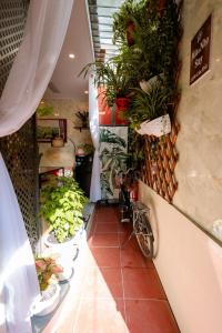 a room with a bunch of plants on the wall at Mía&Nho Stay - Ground Floor, Old Quarter Hai Phong in Hai Phong