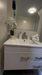 a bathroom with a white sink and a mirror at Quiet Central Dunedin Apartment & covered parking in Dunedin +5 photos