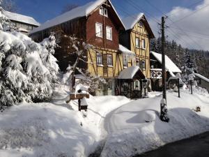 una casa está cubierta de nieve delante en Haus Rennsteigrose, en Steinheid