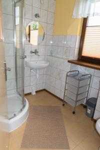 a bathroom with a shower and a sink at Domek HANA in Wünschelburg
