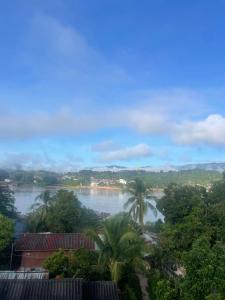 vistas a un río con palmeras en Over the Moon hostel, en Ban Houayxay