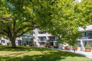 an apartment building with a tree in front of it at Central North Braddon – Steps from Cafes & Shops in Braddon