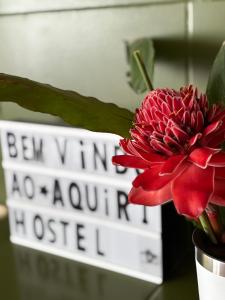 Una flor roja en un jarrón delante de un cartel. en Aquiri Hostel, en Rio Branco