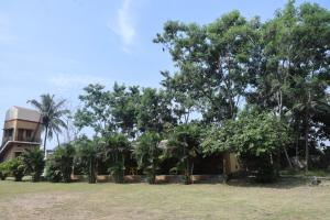 Zahrada ubytování Hampi Blue Moon Resort