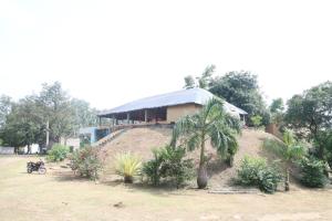 Zahrada ubytování Hampi Blue Moon Resort + 7 fotografií