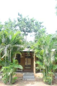 Zahrada ubytování Hampi Blue Moon Resort