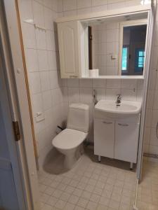 a white bathroom with a toilet and a sink at Levistar studio with sauna in Levi +13 photos