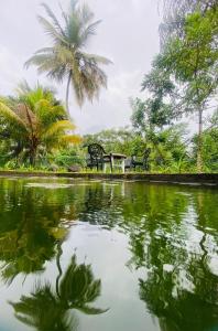 Φυσικό τοπίο κοντά σε αυτό το καταφύγιο