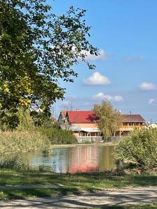 a house and a pond in front of a house at Levendula Vendégház in Hajdúnánás