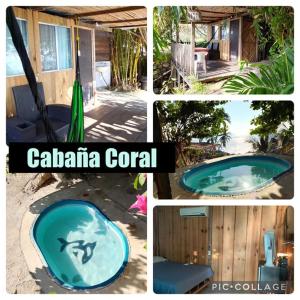 un collage de cuatro imágenes de un frisbee en Cocos Camp, en Acapulco 1 foto más