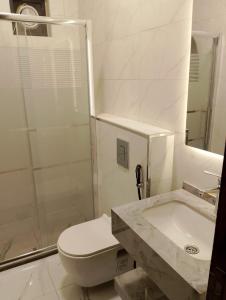 a bathroom with a toilet and a sink and a shower at Rum Jordan camp and tours in Wadi Rum