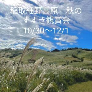 a picture of a field with a blue sky and clouds at InatoRelux in Inatori