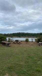 a group of picnic tables in a field next to a lake at Sundays River Adventures Cottages in Gqeberha