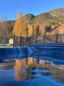 a reflection of a tree in a body of water at Nord-Garthus gård leilighet 1 in Hølera +6 photos