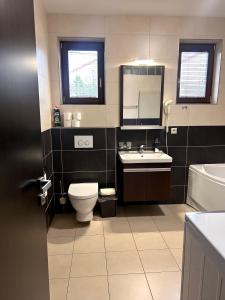 a bathroom with a toilet and a sink and a mirror at Vila Lexus in Veľký Meder +46 photos