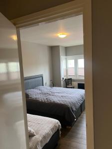 Un dormitorio con dos camas y una ventana en Provence Driehuis Apartment, en Driehuis