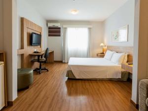 a hotel room with a bed and a desk and a television at Ibis Styles Campinas Alphaville in Campinas