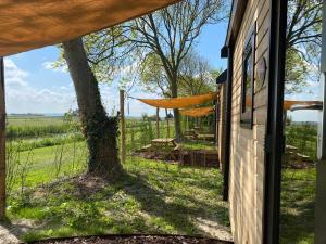 a view from the window of a house with a tree at Aqua Lodge in Petten