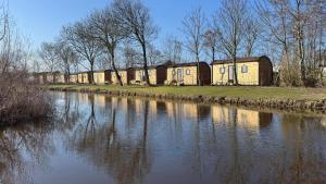 a row of buildings next to a body of water at Aqua Lodge in Petten