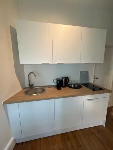 a kitchen counter with a sink and white cabinets at La suite du parc 1 in Nancy