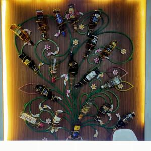 Φωτογραφία από το άλμπουμ του Hotel Arasi σε Shādipur