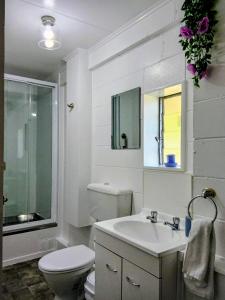 a white bathroom with a toilet and a sink at Park View 'Home Away From Home' in Feilding