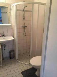 a bathroom with a shower and a toilet at Bungalow 027 in Petten