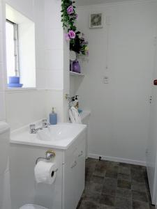 a white bathroom with a sink and a toilet at Park View 'Home Away From Home' in Feilding +8 photos
