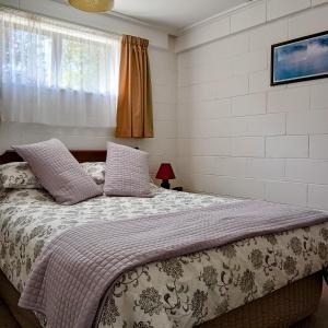 a bedroom with a bed with pillows and a window at Park View 'Home Away From Home' in Feilding
