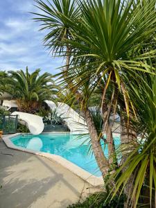 una piscina resort con tobogán y palmeras en Mobil home spacieux 5 personnes à 15 min de Concarneau, en Trégunc