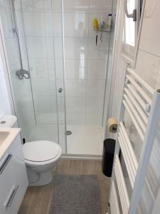 ein weißes Badezimmer mit Dusche und Toilette in der Unterkunft J121 in Petten + 3 Fotos