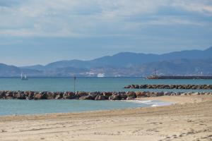 eine Gruppe Elefanten, die am Strand entlang laufen in der Unterkunft Saint Cyprien jolie villa avec piscine in Saint-Cyprien