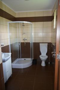 a bathroom with a shower and a toilet and a sink at Casa Miki in Haţeg +49 photos