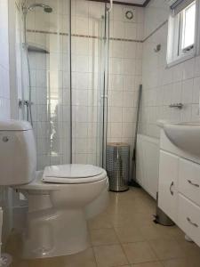 ein Badezimmer mit Toilette, Dusche und Waschbecken in der Unterkunft J 134 in Petten