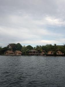 Příroda nedaleko rezortu