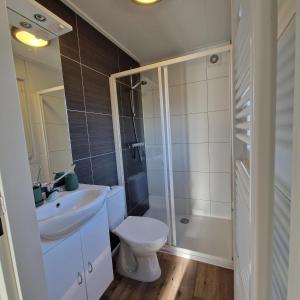 a bathroom with a toilet and a sink and a shower at Chalet 216 in Petten